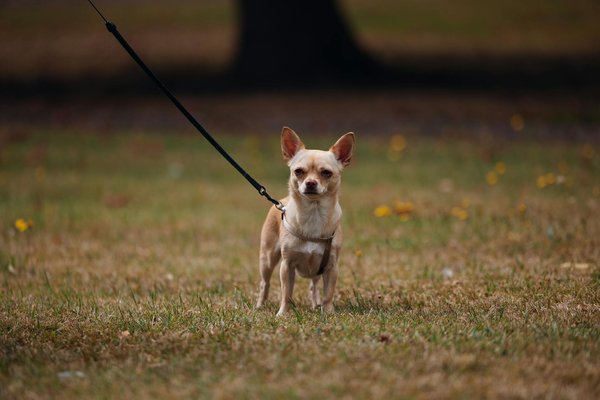 What are the top colors to wear this year?